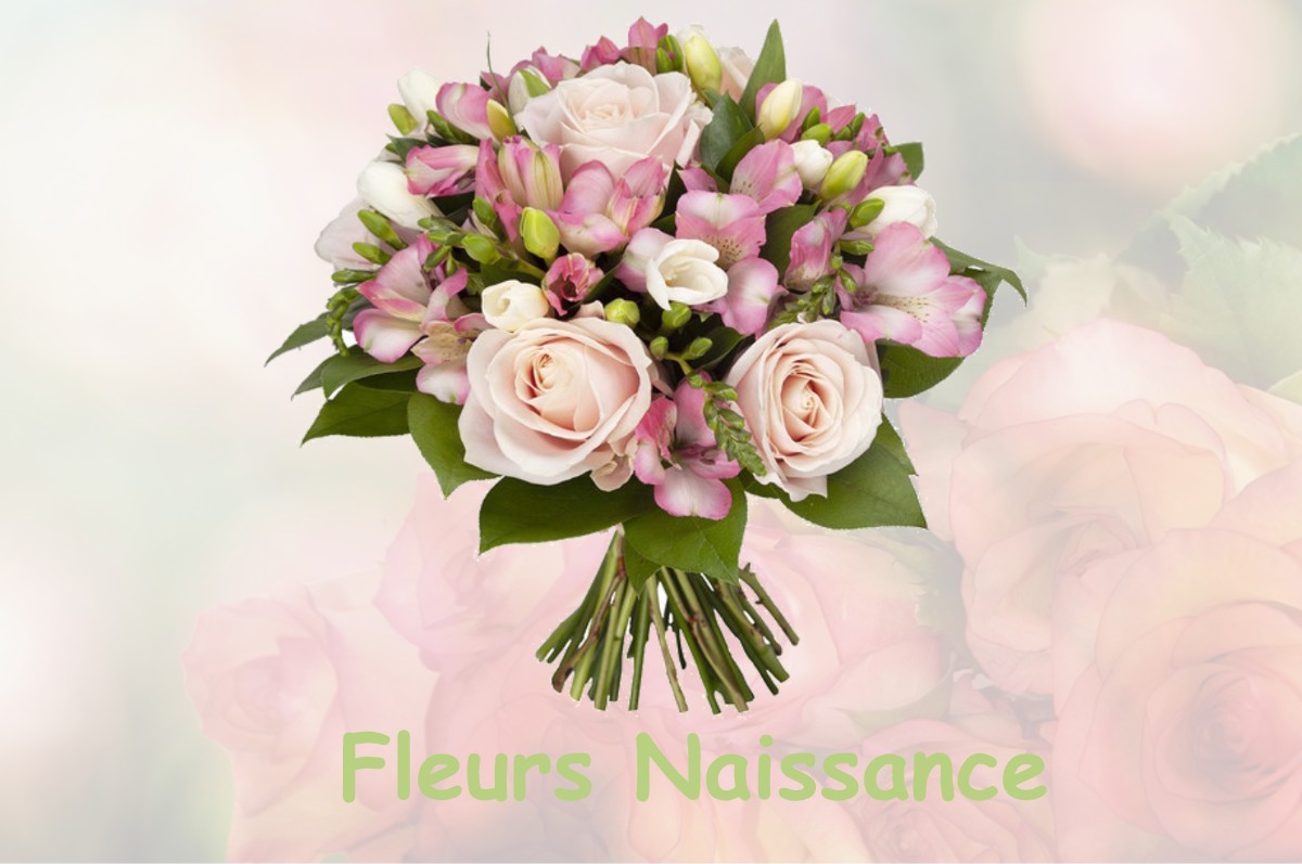 fleurs naissance VITTARVILLE