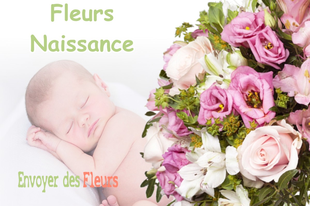 lIVRAISON FLEURS NAISSANCE à VITTARVILLE